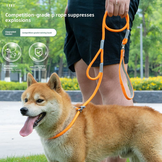 Universal Dog Leash viora
