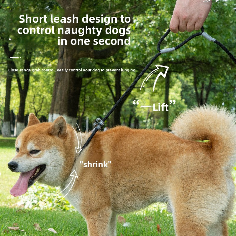 Universal Dog Leash viora