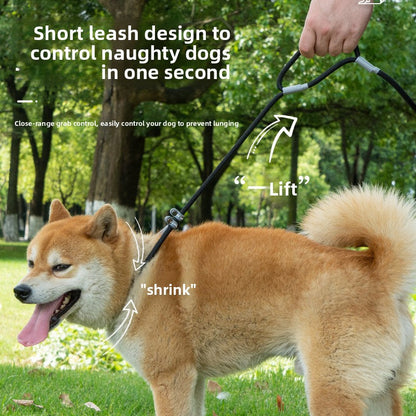 Universal Dog Leash viora