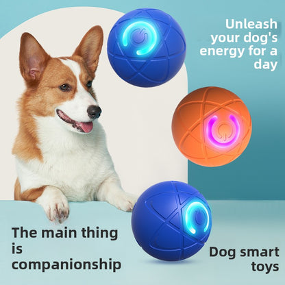 Pet electric gravity jumping ball - Paw