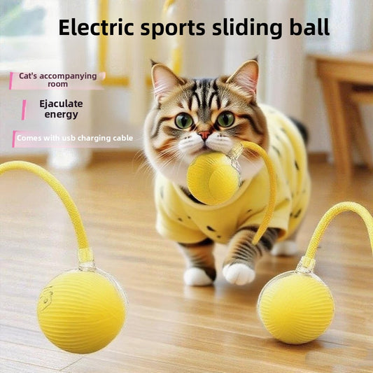 Automatic dog walking ball/dog toy ball - Paw