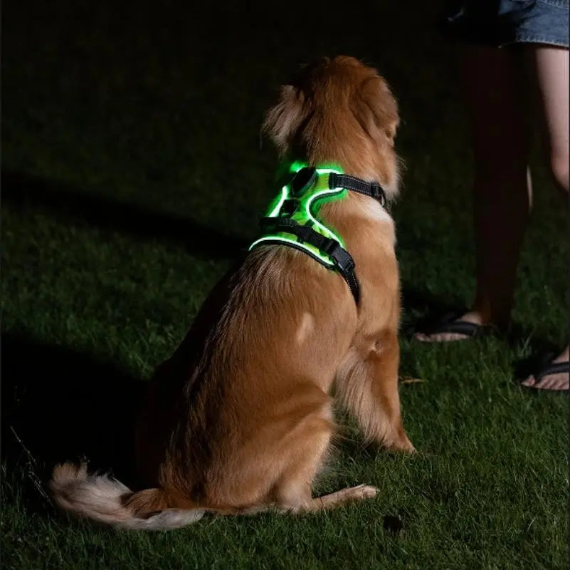 Luminous Reflective Dog Harness viora