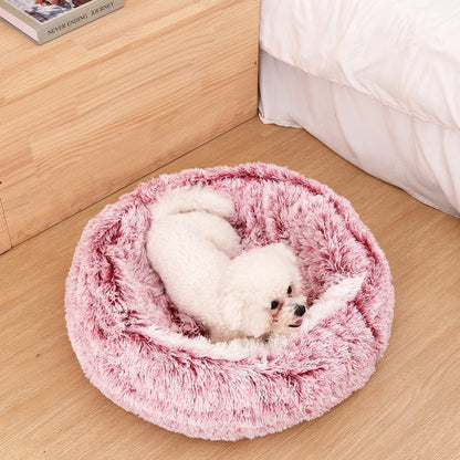 Windproof Shell Cat Bed - Paw