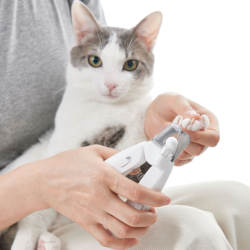 pet nail clippers - Paw